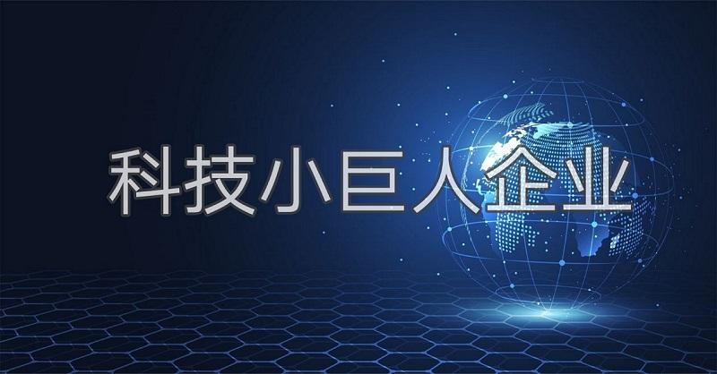 科技小巨人是什么？廣州市企業(yè)科技小巨人怎么認(rèn)證申請