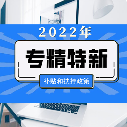 廣東省專精特新中小企業(yè)評分標準