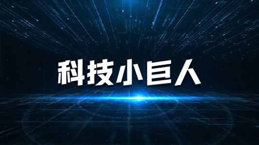 東莞市專精特新中小企業(yè)申報條件、補(bǔ)貼