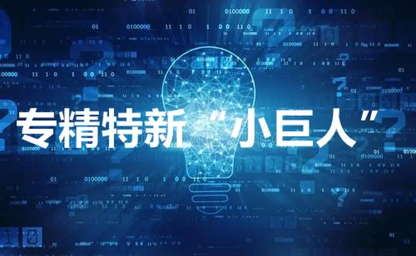 【詳細】專精特新企業(yè)申報流程、條件、領(lǐng)域