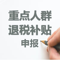 重點(diǎn)企業(yè)退稅優(yōu)惠補(bǔ)貼項目申報指南